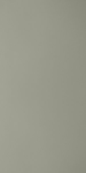 Muestra del producto Ash Grey