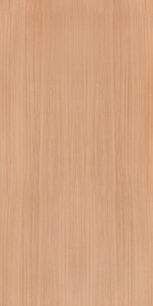 Muestra del producto European White Elm