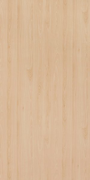Muestra del producto Mangfall Beech