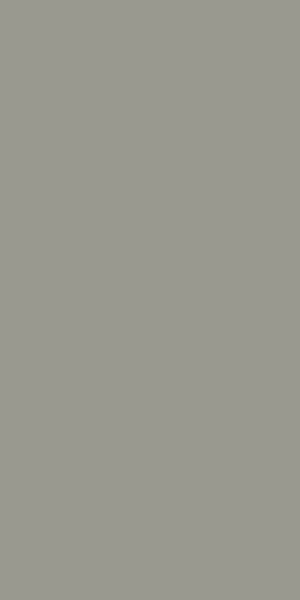 Muestra del producto Pearlscent Grey