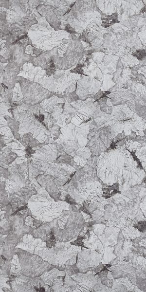 Muestra del producto Samsara