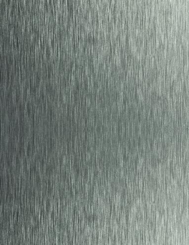 Muestra del producto Stainless Steel Brush