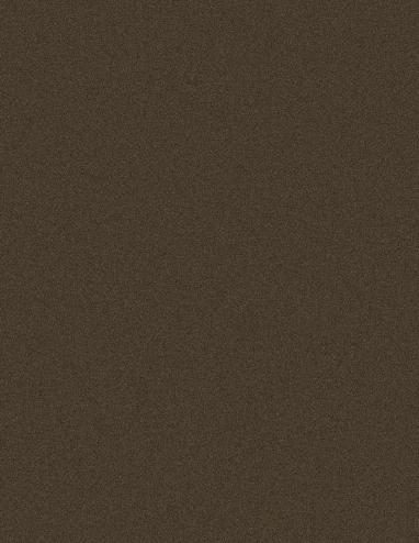 Muestra del producto Bronze