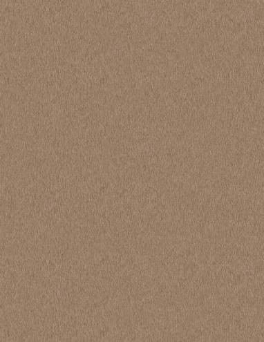 Muestra del producto Brushed Champagne