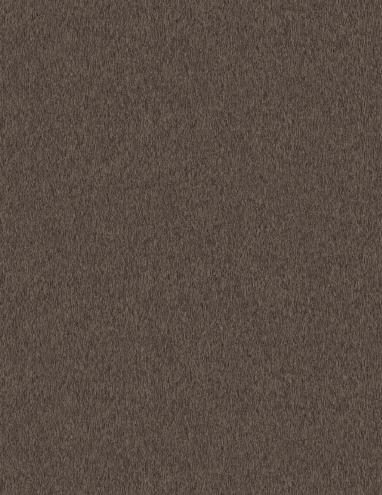 Muestra del producto Oil Bronze