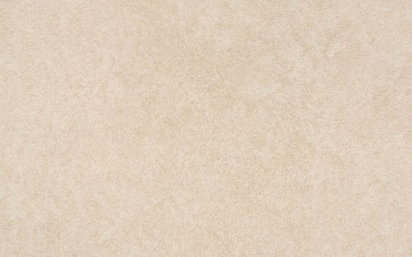 Muestra del producto Almond Leather