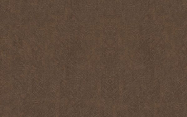 Muestra del producto Windswept Bronze